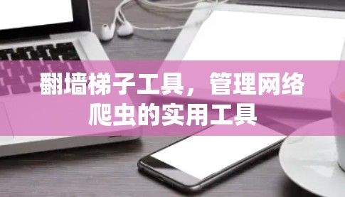 翻墙梯子工具，管理网络爬虫的实用工具