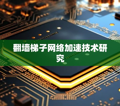 翻墙梯子网络加速技术研究