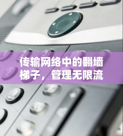 传输网络中的翻墙梯子，管理无限流量的智慧技术