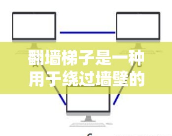 翻墙梯子是一种用于绕过墙壁的设备，通常由多个梯子或栏杆组成，以确保在墙内移动。以下是一些常见的翻墙梯子类型及其特点