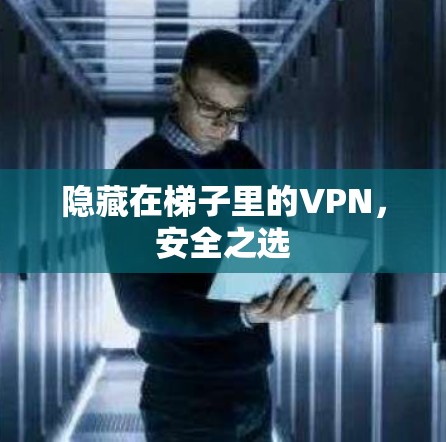 隐藏在梯子里的VPN，安全之选