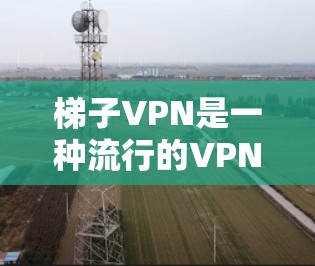 梯子VPN是一种流行的VPN技术，利用梯子协议（Stitcher Protocol）来提供安全、可靠的数据传输。以下是关于如何下载和安装梯子VPN的步骤指南