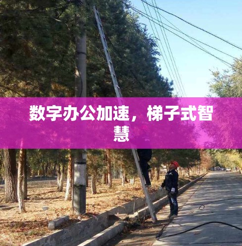 数字办公加速，梯子式智慧