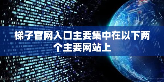 梯子官网入口主要集中在以下两个主要网站上