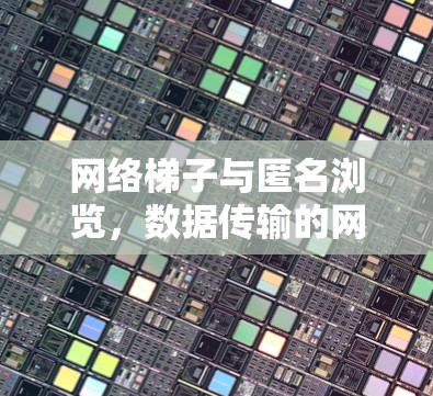 网络梯子与匿名浏览，数据传输的网络连接方式