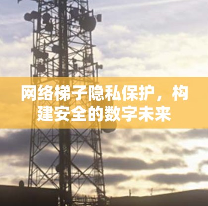 网络梯子隐私保护，构建安全的数字未来