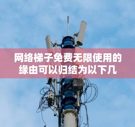网络梯子免费无限使用的缘由可以归结为以下几个方面