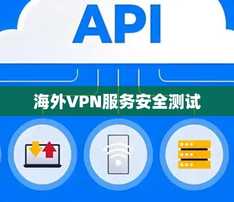 海外VPN服务安全测试