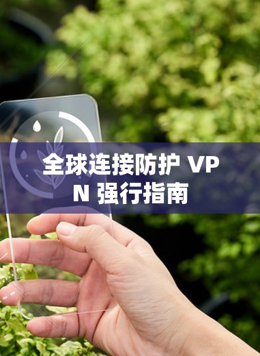 全球连接防护 VPN 强行指南