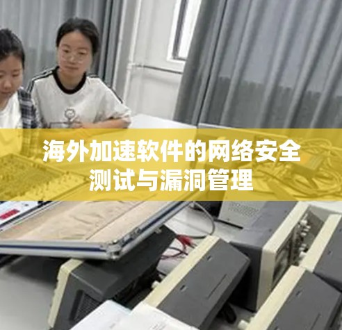 海外加速软件的网络安全测试与漏洞管理