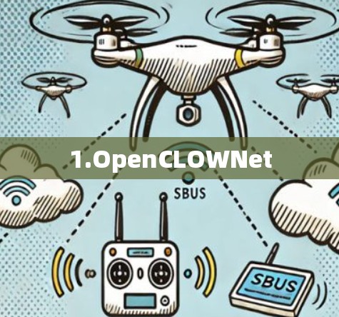 1.OpenCLOWNet