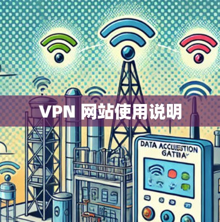 VPN 网站使用说明