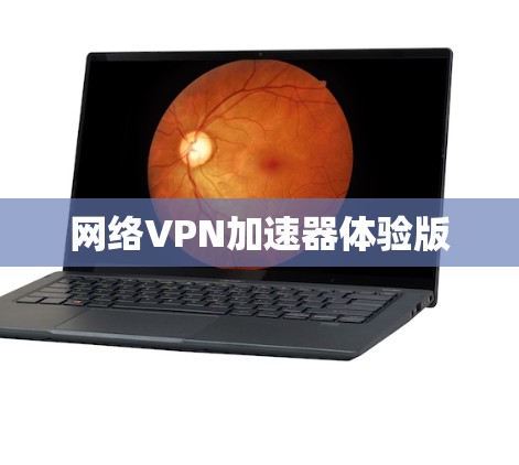 网络VPN加速器体验版