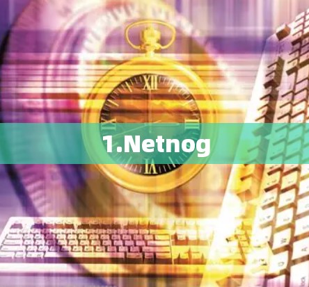 1.Netnog