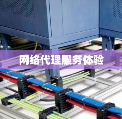 网络代理服务体验