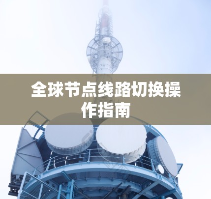 全球节点线路切换操作指南