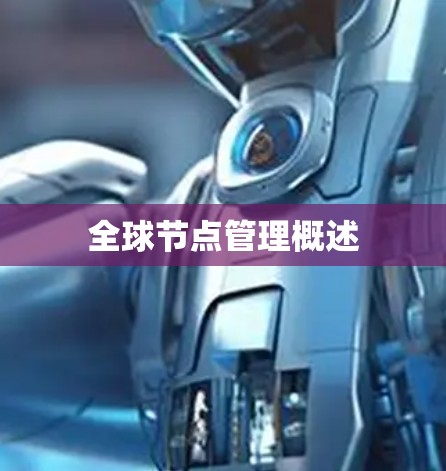 全球节点管理概述