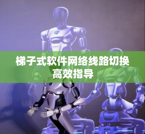 梯子式软件网络线路切换高效指导