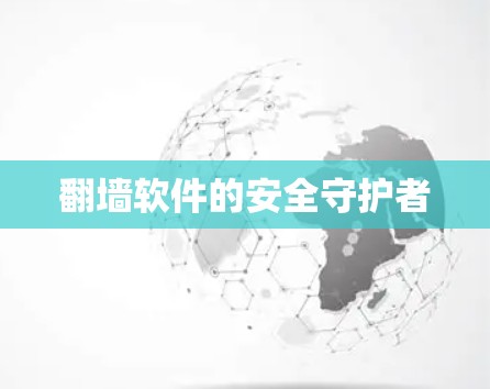 翻墙软件的安全守护者