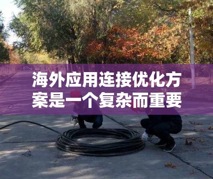 海外应用连接优化方案是一个复杂而重要的任务,因为这些连接涉及到多个环节,包括服务器端、网络连接、数据传输和存储管理。以下是一个全面的优化方案,涵盖性能、安全、配置和测试等关键方面