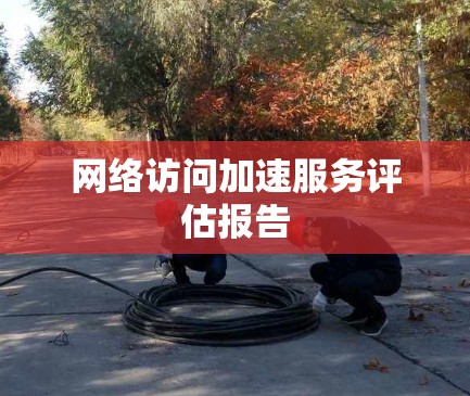 网络访问加速服务评估报告