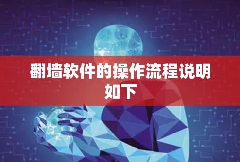 翻墙软件的操作流程说明如下