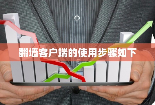 翻墙客户端的使用步骤如下