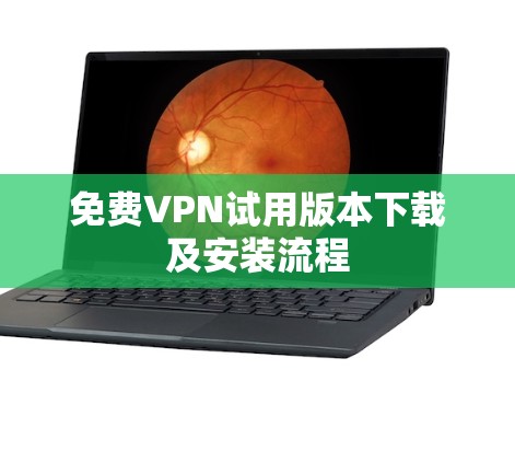 免费VPN试用版本下载及安装流程