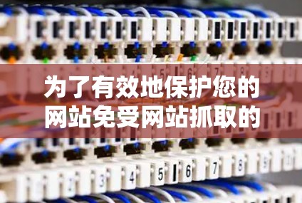 为了有效地保护您的网站免受网站抓取的威胁,选择合适的翻墙软件至关重要。以下是一个分步指南,帮助您进行翻墙软件的推荐和安装