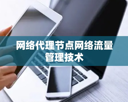网络代理节点网络流量管理技术 网络代理节点网络流量管理技术
