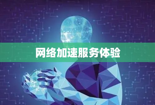 网络加速服务体验