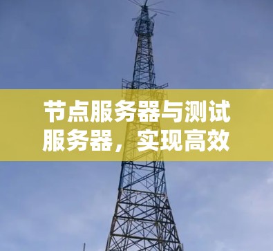 节点服务器与测试服务器,实现高效部署与快速测试