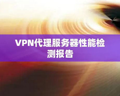 VPN代理服务器性能检测报告