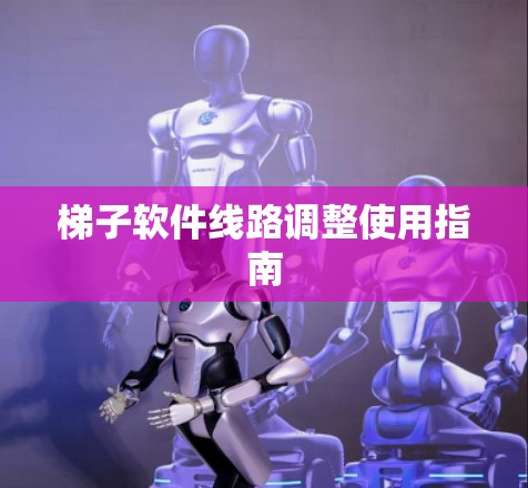 梯子软件线路调整使用指南