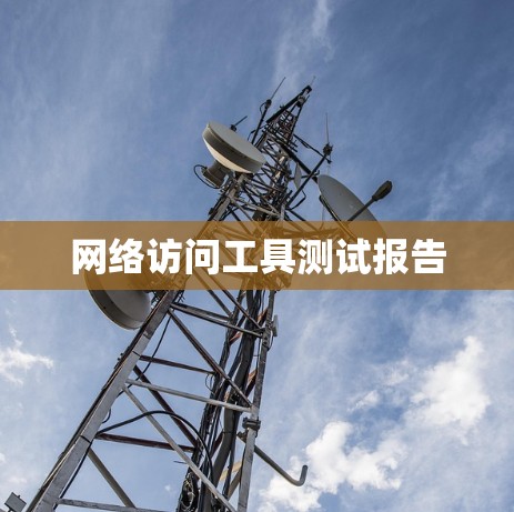网络访问工具测试报告