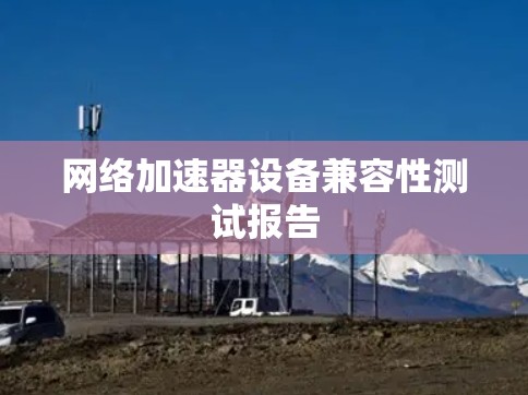 网络加速器设备兼容性测试报告
