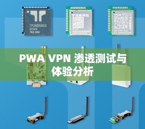 PWA VPN 渗透测试与体验分析