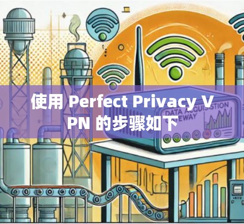 使用 Perfect Privacy VPN 的步骤如下