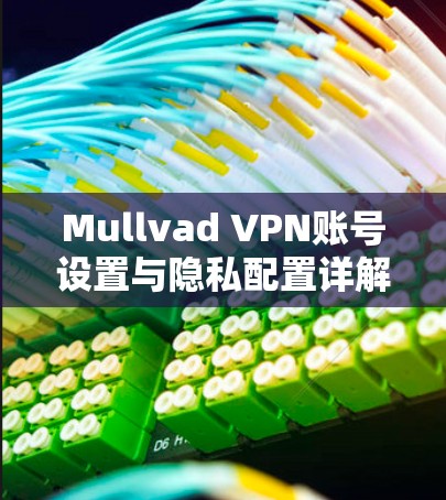 Mullvad VPN账号设置与隐私配置详解