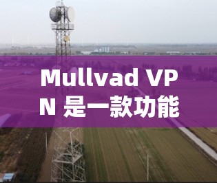Mullvad VPN 是一款功能强大且隐私保护强的VPN选项,适合需要多设备同步和多端访问的用户。以下是一些替代方案和推荐 VPN,帮助您找到适合隐私和安全性需求的 VPN