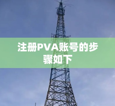 注册PVA账号的步骤如下