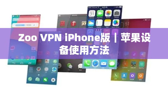 Zoo VPN iPhone版｜苹果设备使用方法