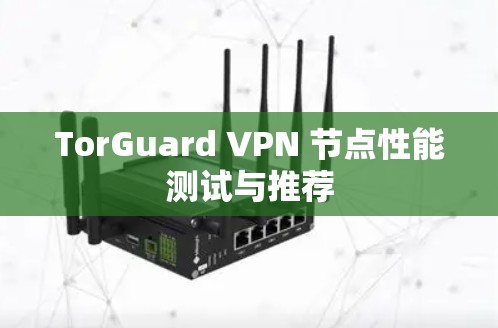 TorGuard VPN 节点性能测试与推荐