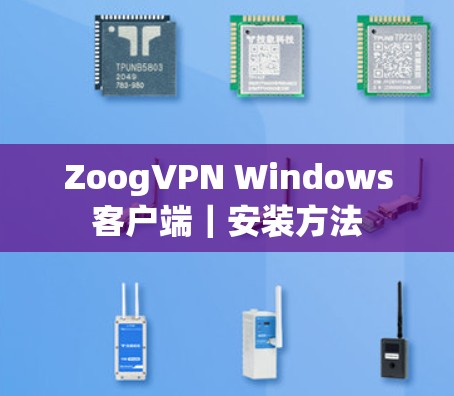 ZoogVPN Windows客户端|安装方法