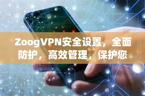 ZoogVPN安全设置,全面防护,高效管理,保护您的网络安全