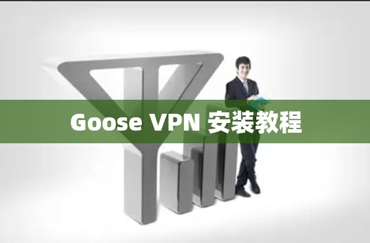 Goose VPN 安装教程