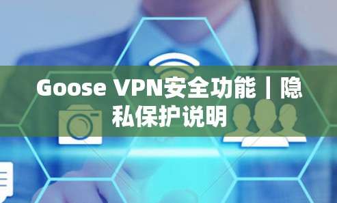 Goose VPN安全功能|隐私保护说明