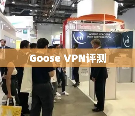 Goose VPN评测