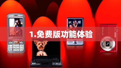 1.免费版功能体验 1.免费版功能体验