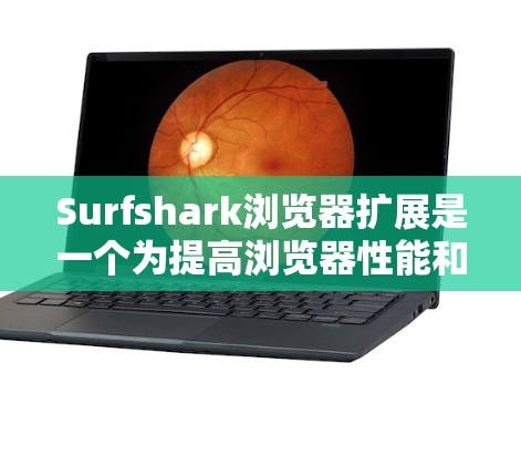 Surfshark浏览器扩展是一个为提高浏览器性能和用户体验特开发的工具，提供多种功能扩展，帮助用户更好地利用浏览器功能。以下是对扩展功能的详细说明